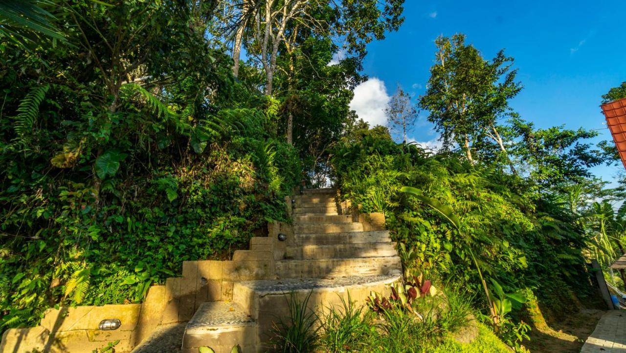 Anja Villas Ubud Tegallalang  Exterior photo
